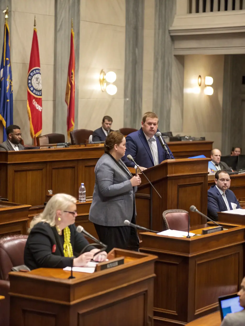 A lawyer presenting a case in front of a government regulatory body, symbolizing Chen Attorneys' administrative law support.